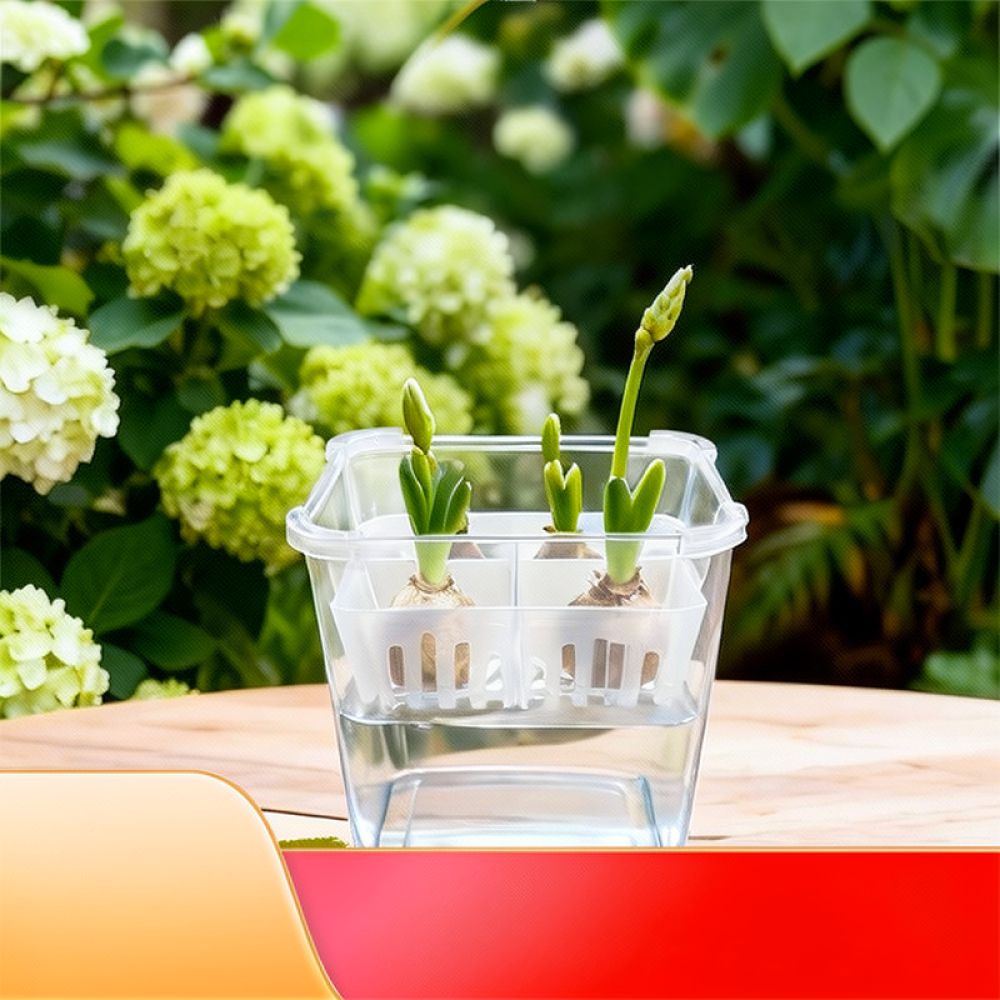 Hydroponic Vase For Tulip Lily - Vase Decor ulasan dan harga
